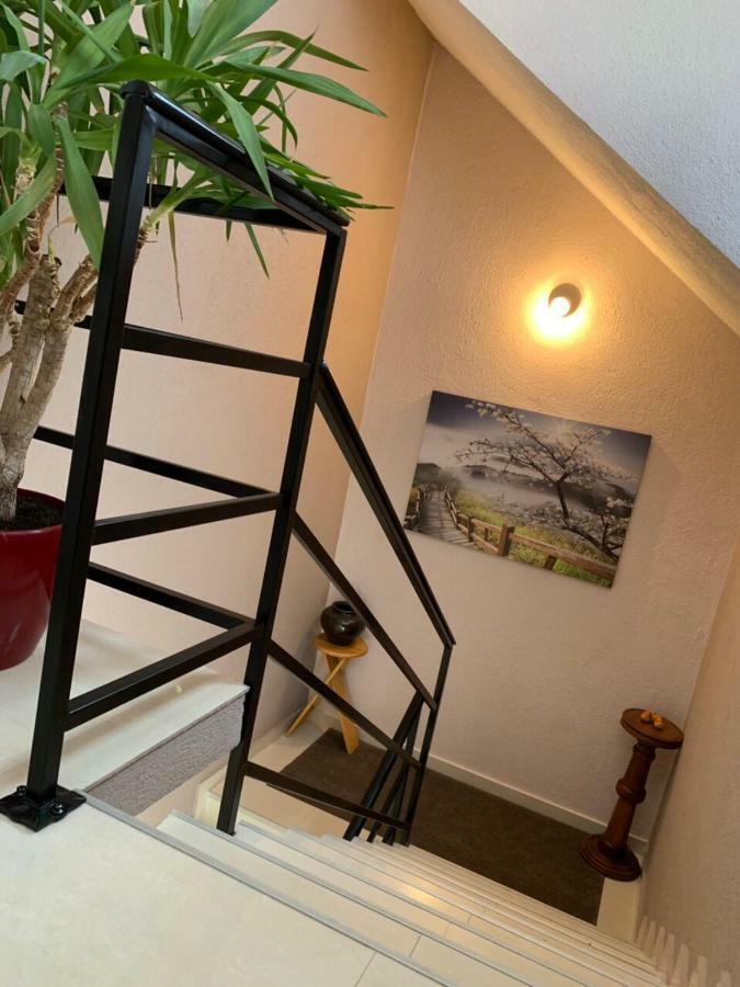 Apartmani Alo Alo Плав Екстериор снимка